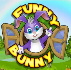 Funny Bunny